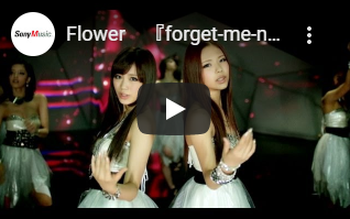 Flower｜forget me not ワスレナグサ